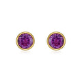 Purple Sapphire Earring ER0150A02LL