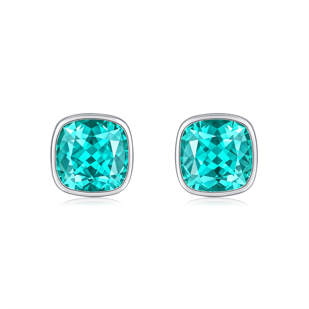 Paraiba Garnet Earring ER0119A00LL