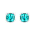 Paraiba Garnet Earring ER0119A00LL