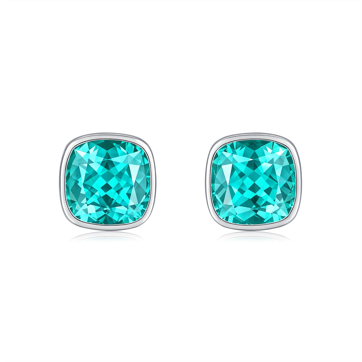 Paraiba Garnet Earring ER0119A00LL