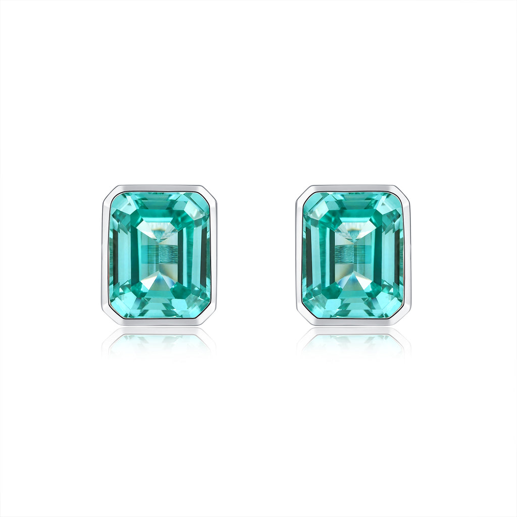 Paraiba Garnet Earring ER0129A02LL