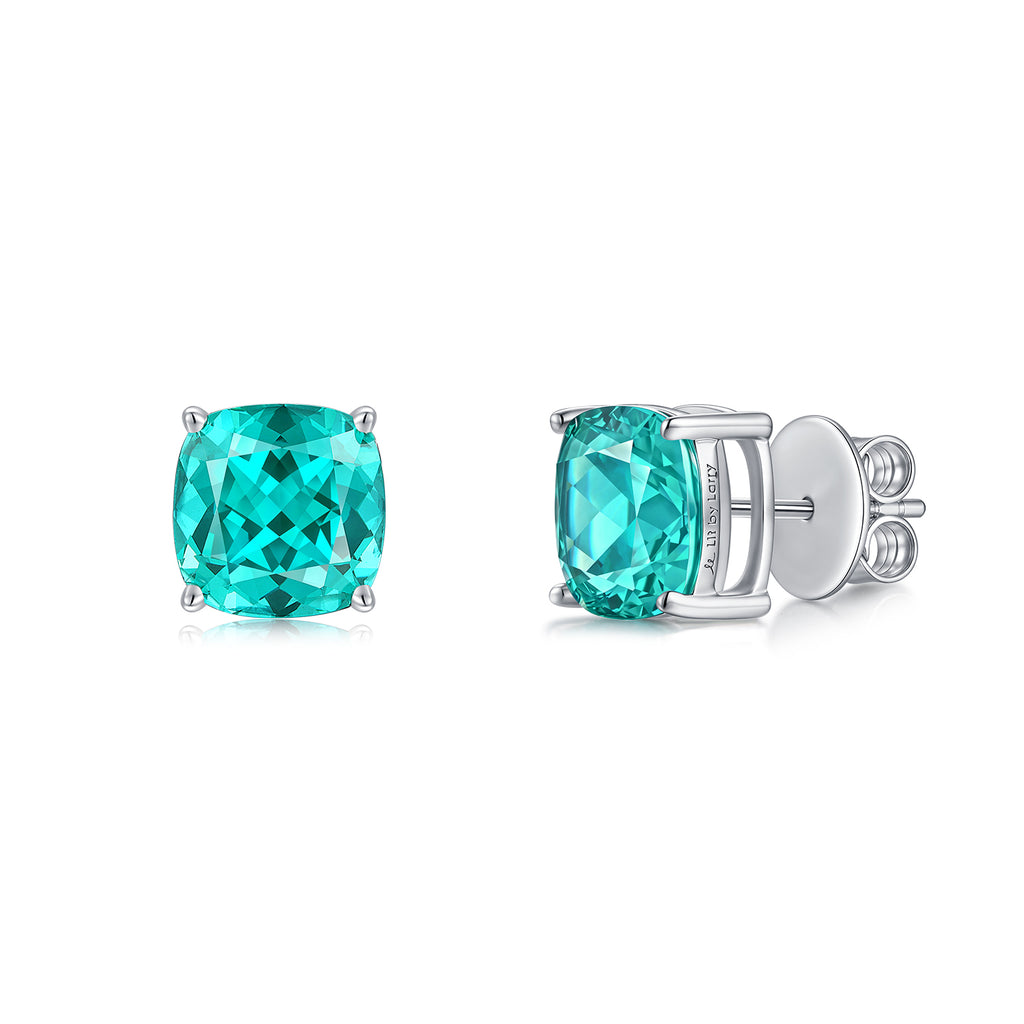 Paraiba Garnet Earring ER0118A00LL