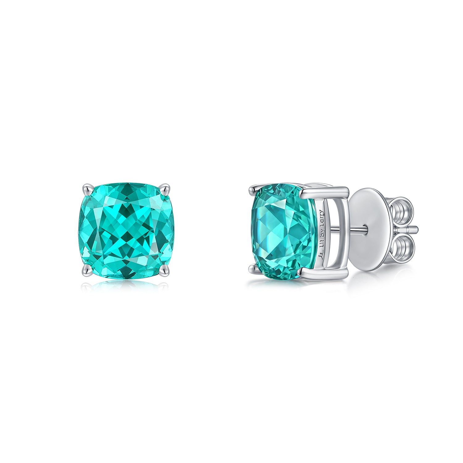 Paraiba Garnet Earring ER0118A00LL
