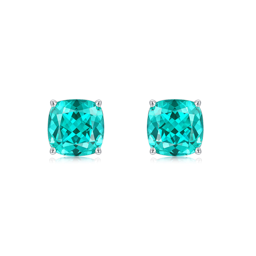 Paraiba Garnet Earring ER0118A00LL