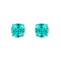 Paraiba Garnet Earring ER0118A00LL