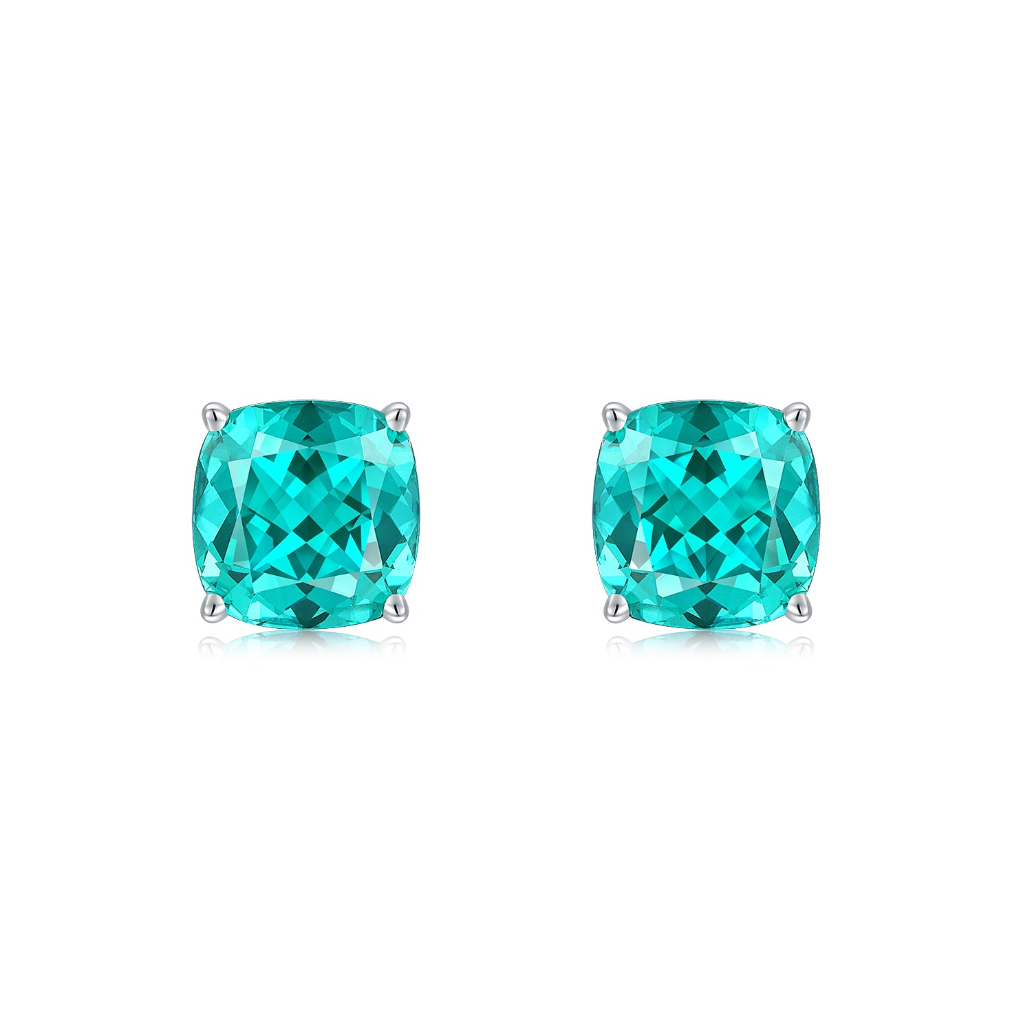 Paraiba Garnet Earring ER0118A00LL