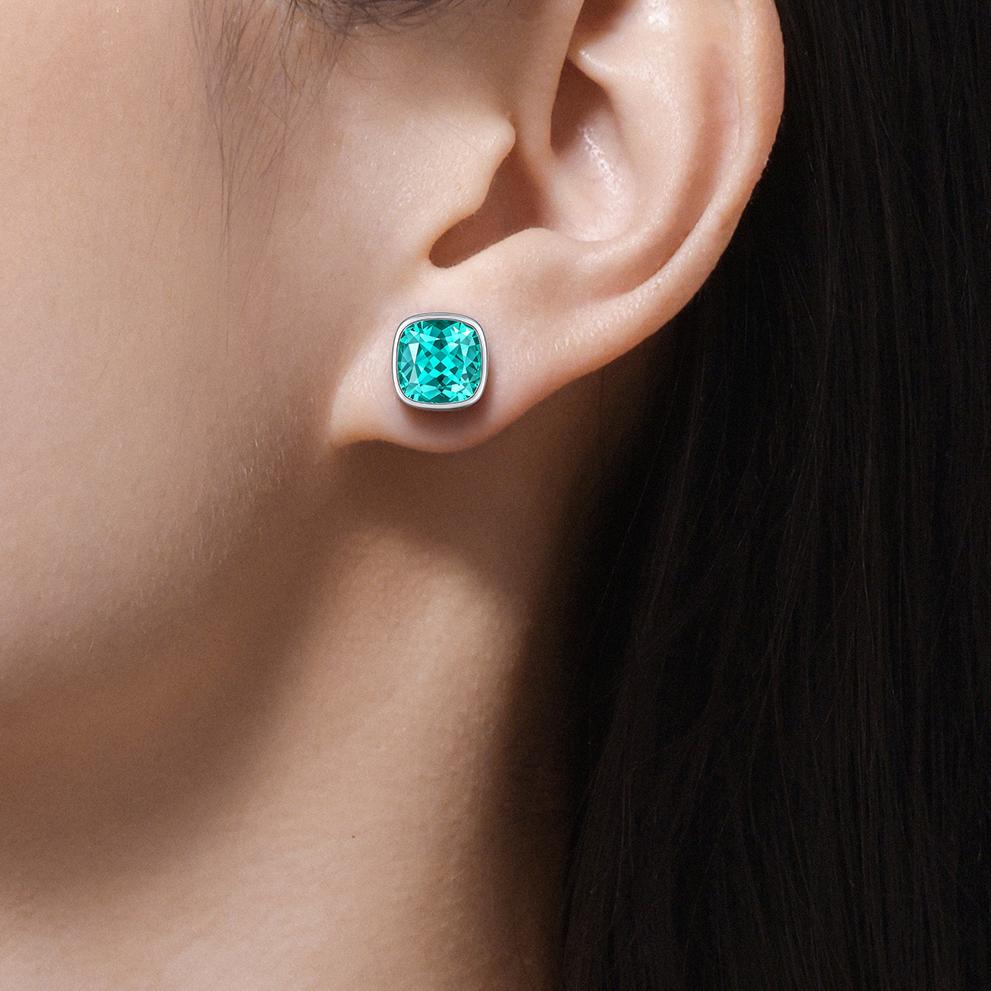 Paraiba Garnet Earring ER0119A00LL